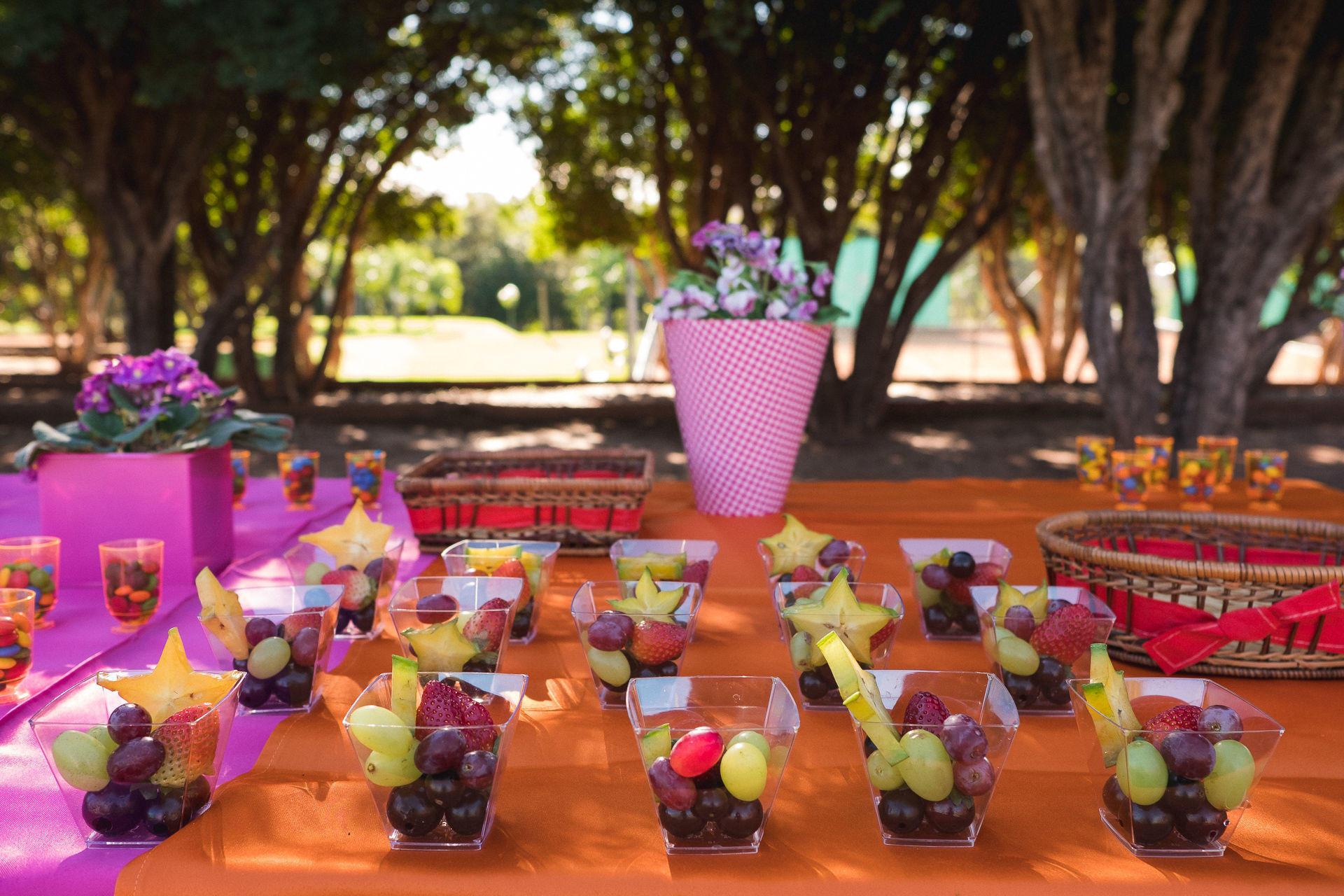 decoração de festa no parque simples