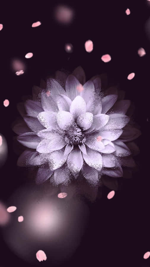flores mais bonitas do mundo