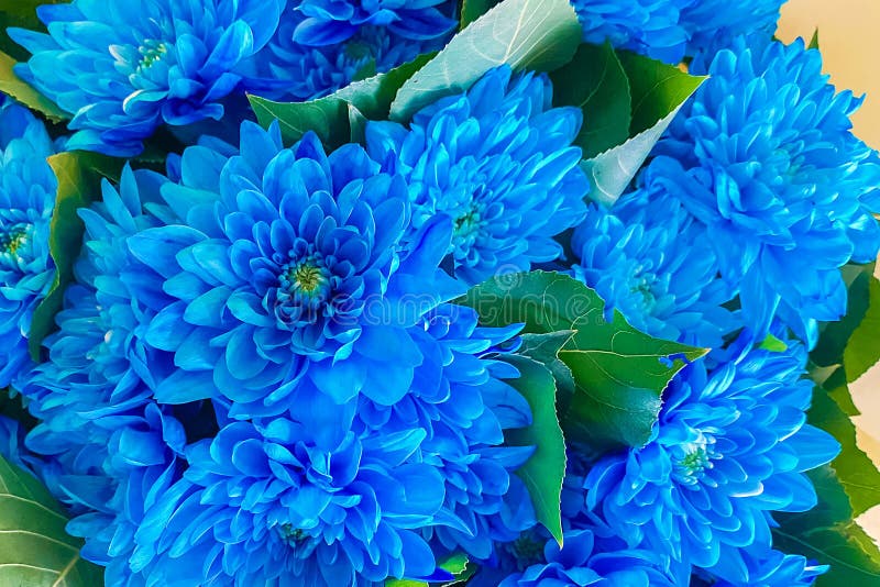flores raras