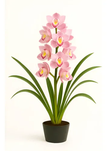 flores que perfumam a casa