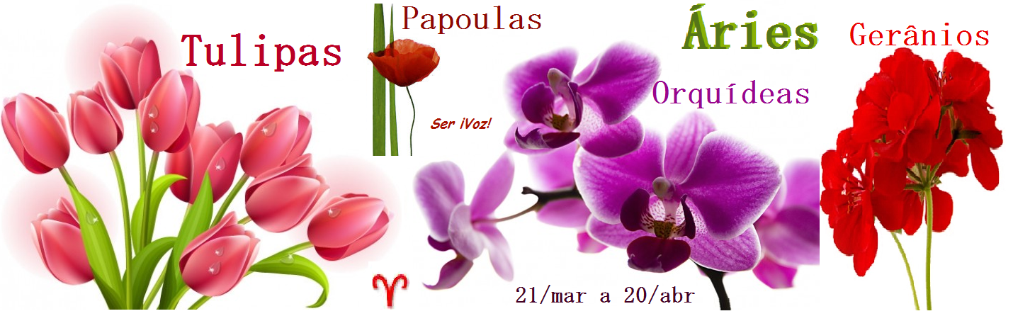 flor de aries significado