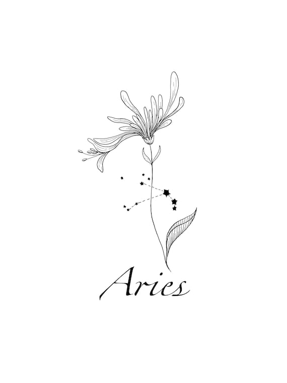 girassol aries
