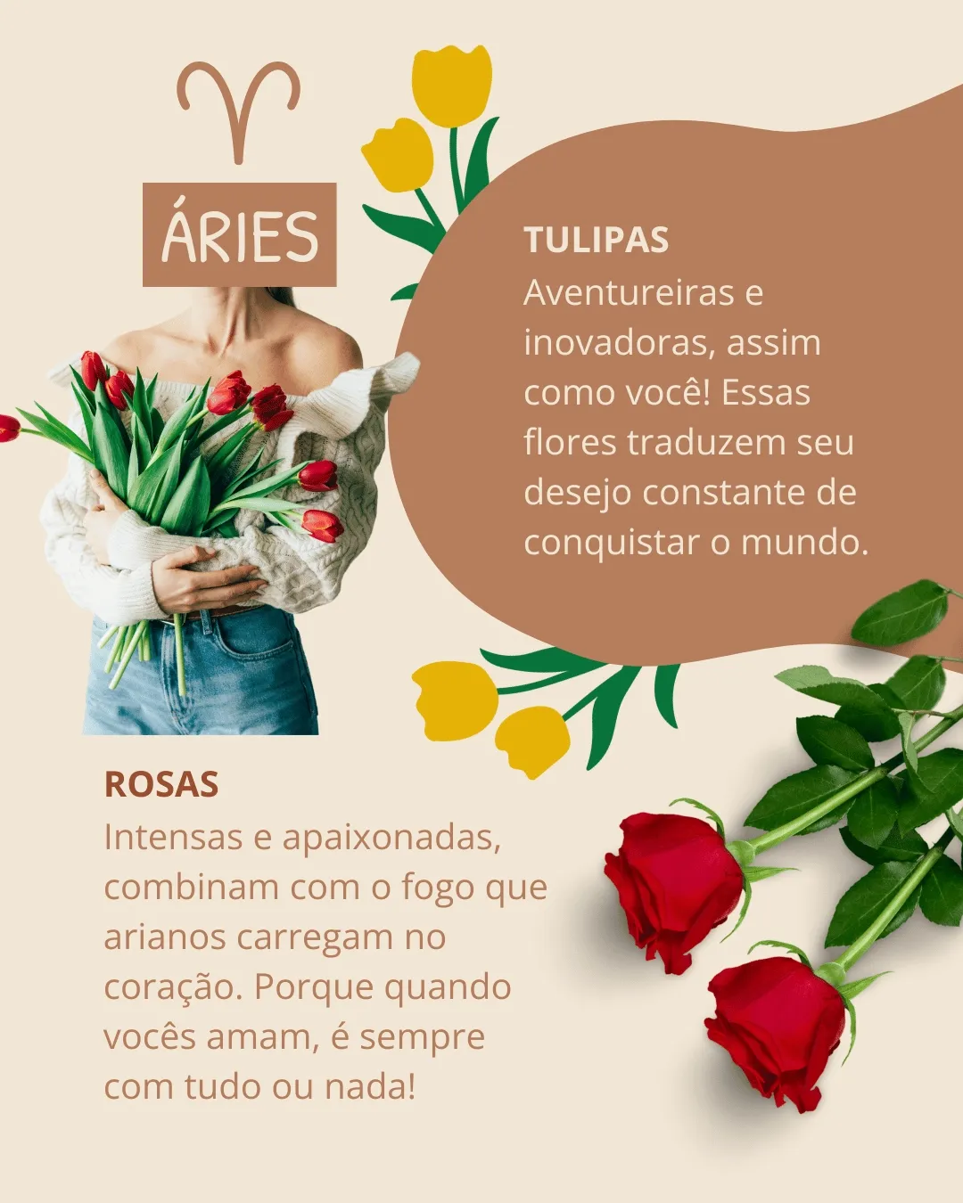 espada de sao jorge aries