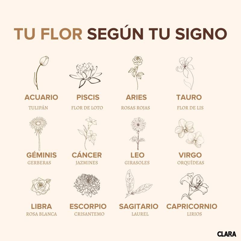 planta de aries