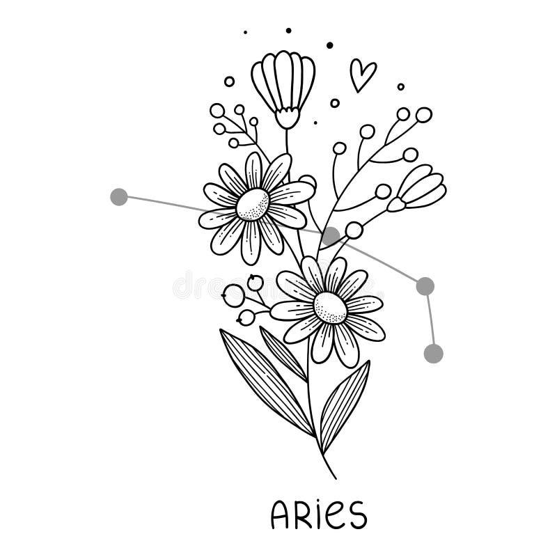 flor de nascimento aries