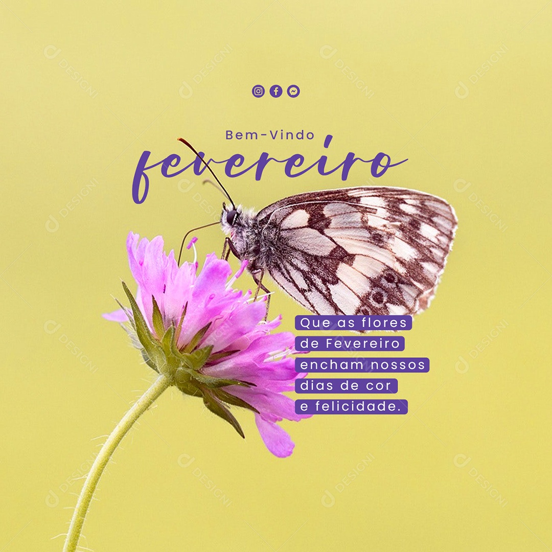 flores para presente de aniversário em fevereiro