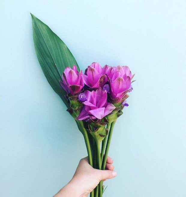 flores para presente de aniversário em fevereiro