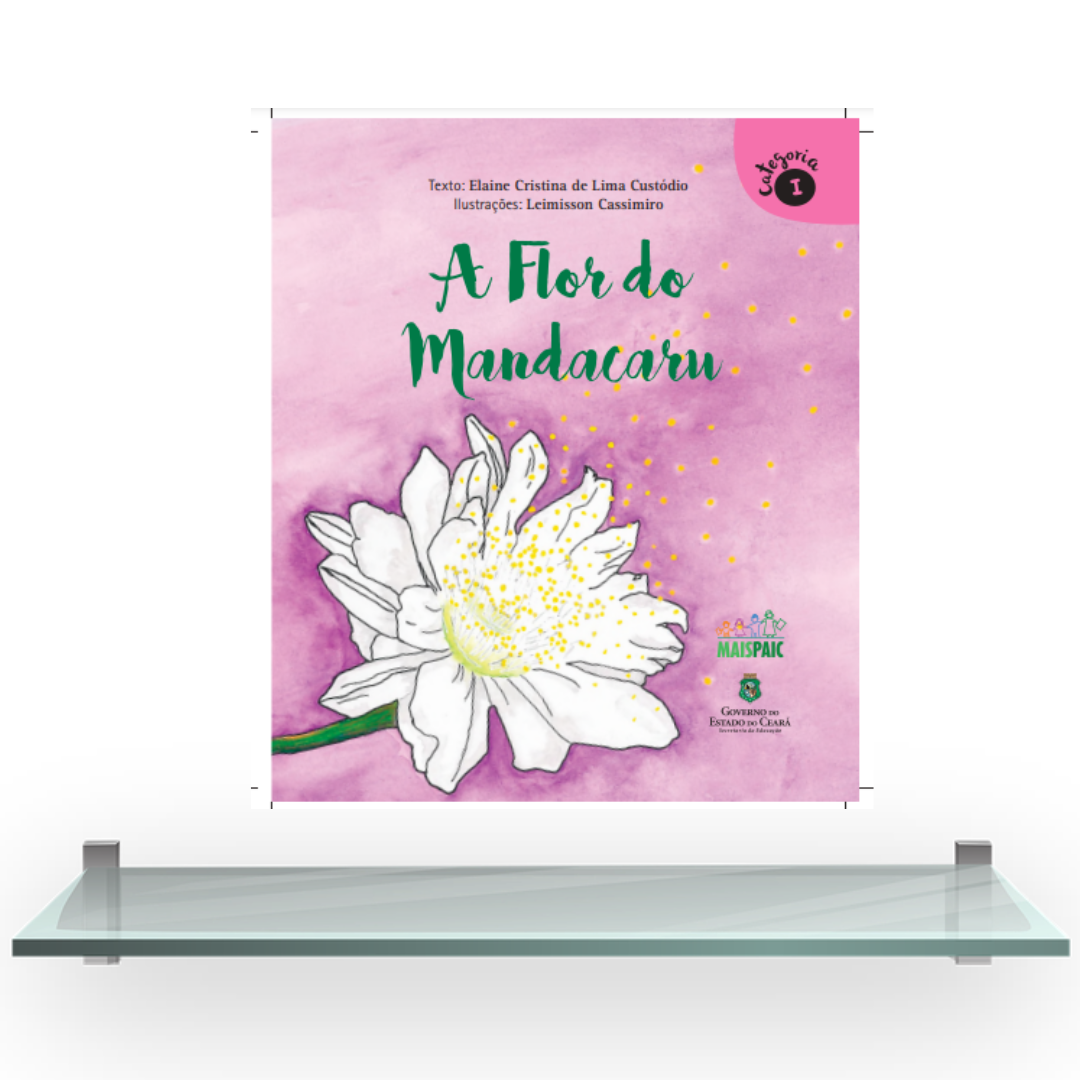 flor de mandacaru beleza efêmera