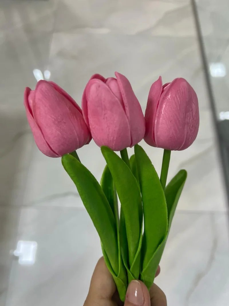 significado das cores de tulipa