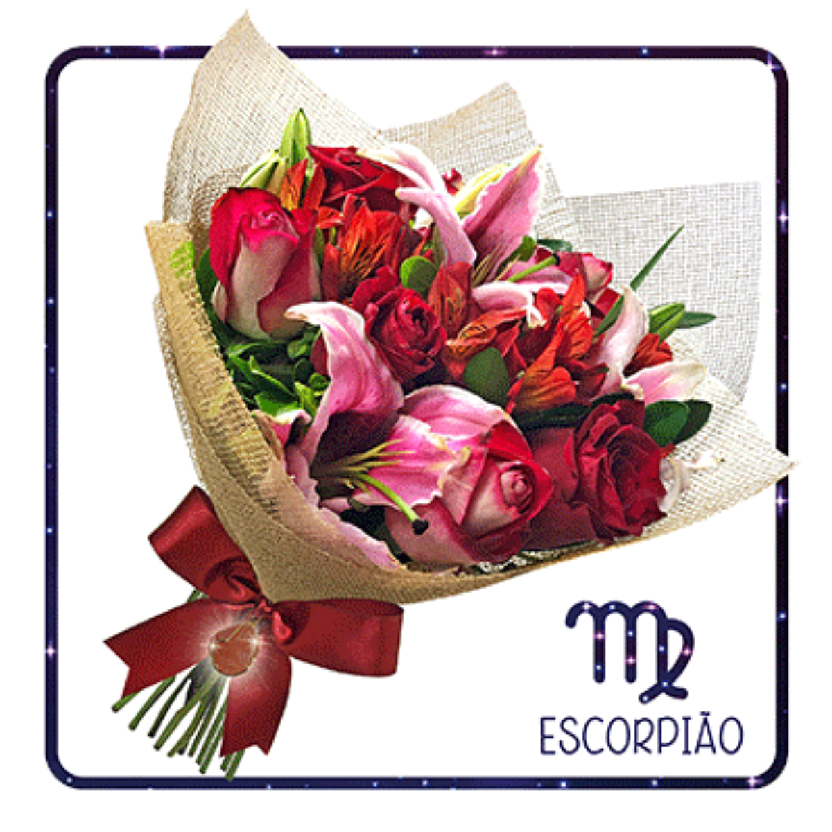 flor de escorpião significado