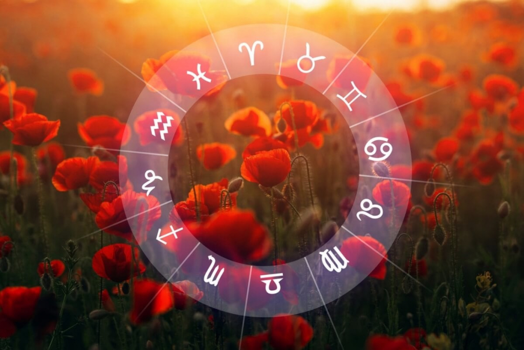 simbolismo das flores para escorpião