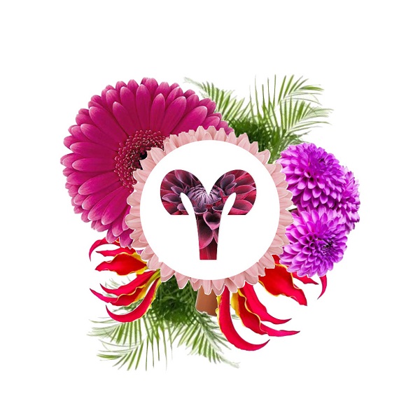 flores para o signo de escorpião