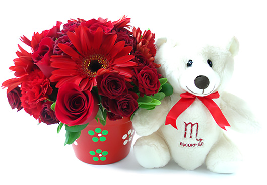 íris para escorpianos