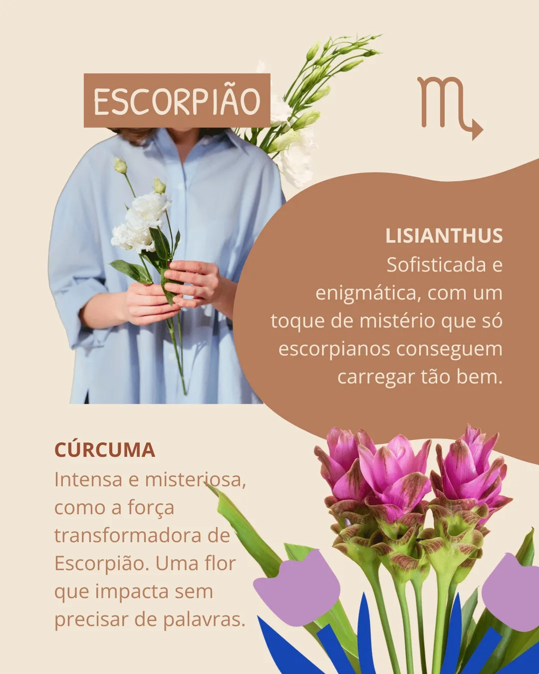 boca de leão signo escorpião