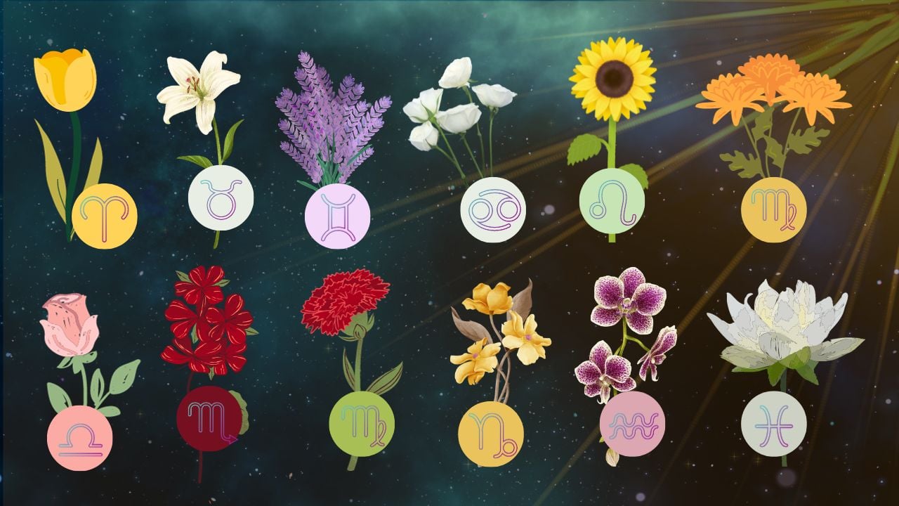 gloriosa flor escorpião