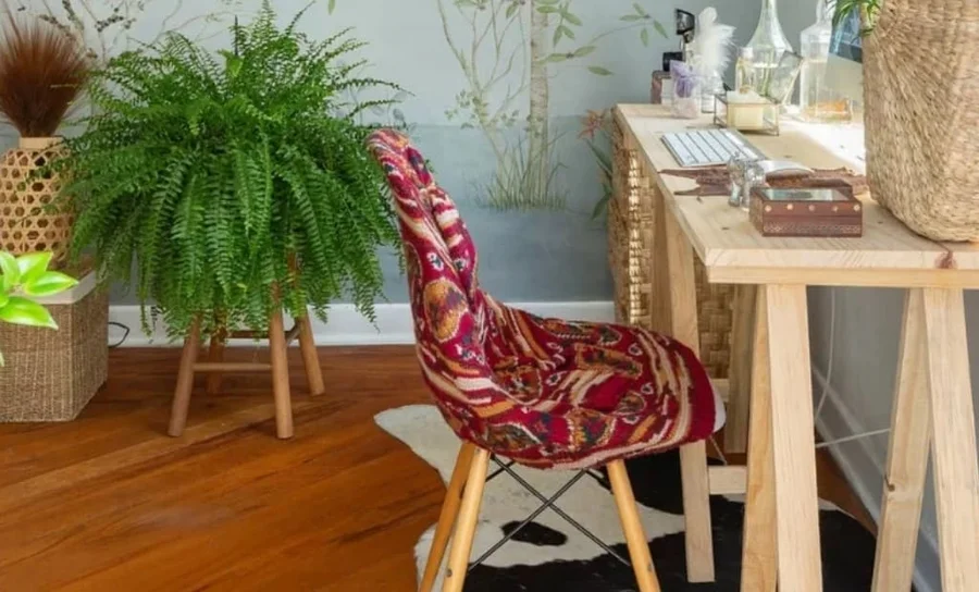 samambaia vs. samambaia de flores azuis: qual a diferença?