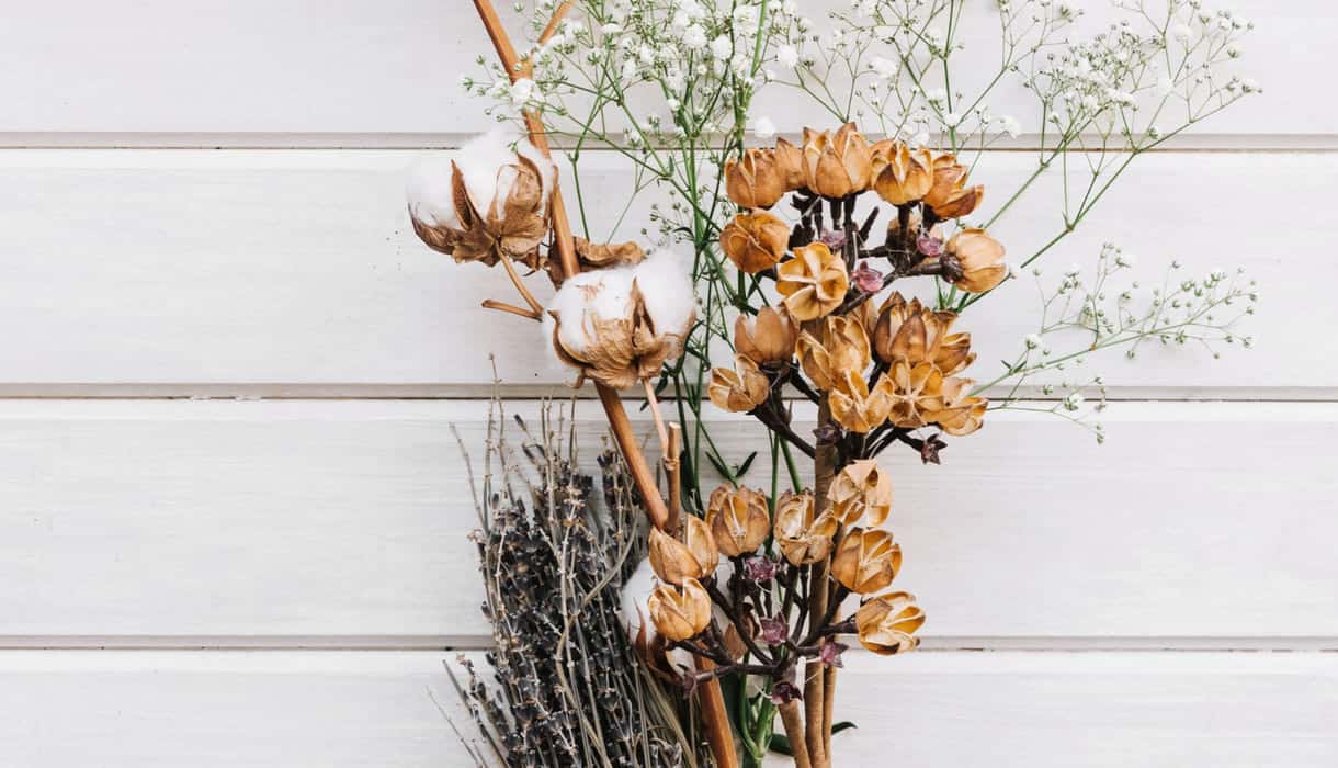 5 ideias de títulos:
1. Flores Secas: A Tendência Rústica e Sofisticada para sua Casa
2. Guia Completo: Como Usar e Cuidar de Flores Secas na Decoração
3. Do Boho Chic ao Minimalista: Estilos de Decoração com Flores Secas
4. Durabilidade e Beleza: As Vantagens das Flores Desidratadas
5. Onde Encontrar os Melhores Arranjos de Flores Secas: Lojas e Marketplaces