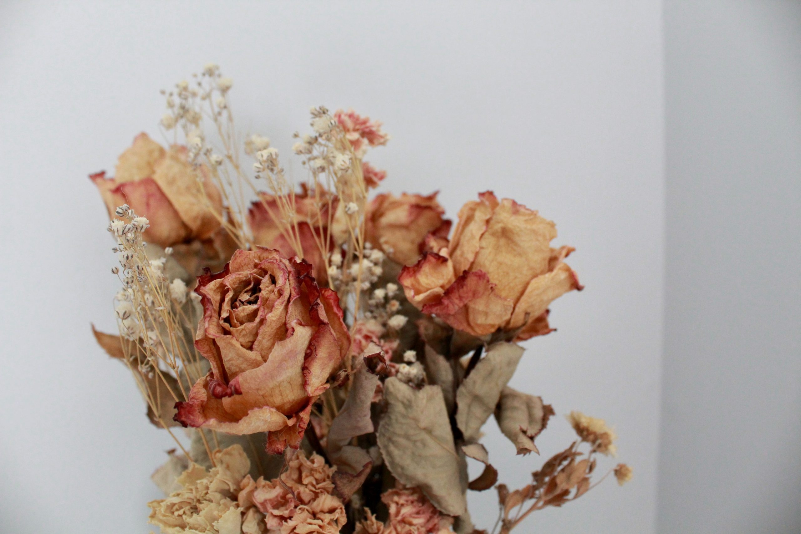 flor seca para decoração