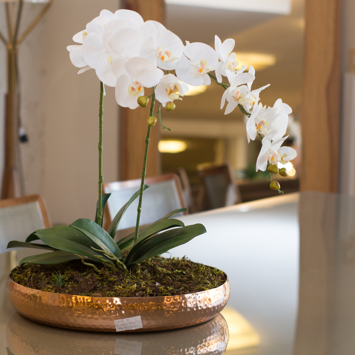 5 Dicas Essenciais para Manter suas Plantas Permanentes Impecáveis