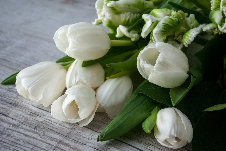flores brancas perfumadas