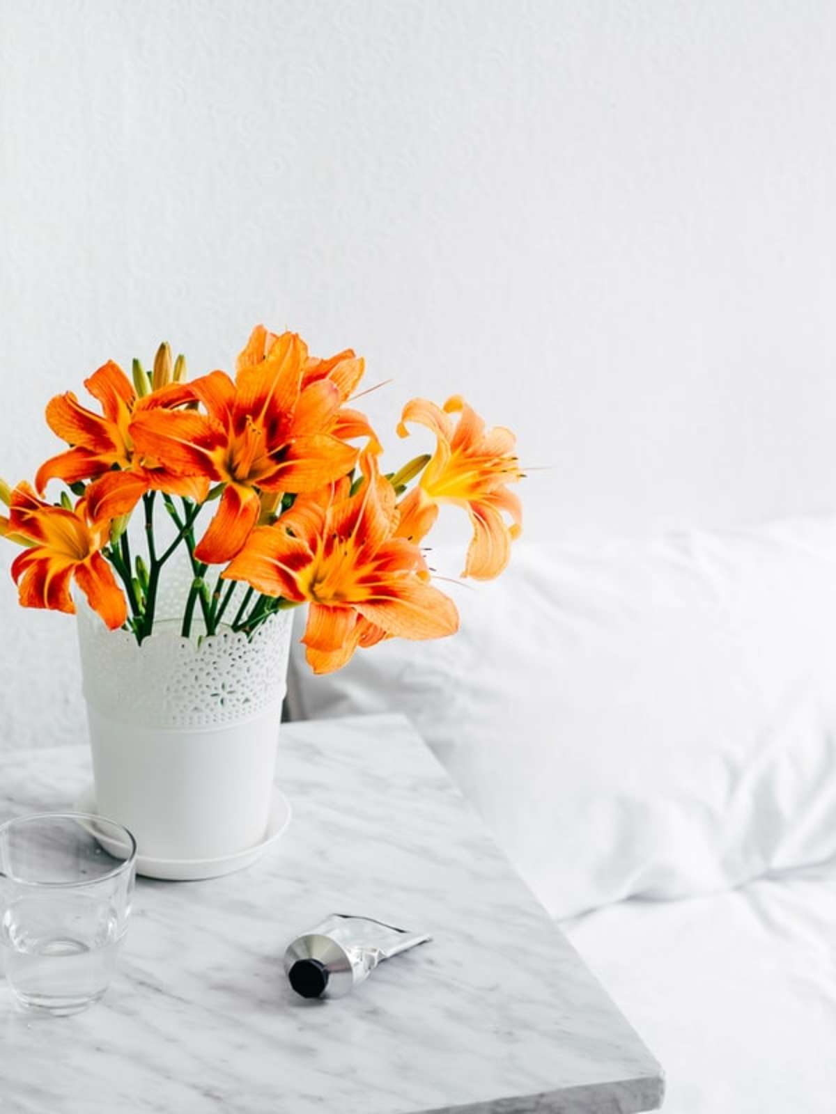 flores de interior vs. flores de exterior: qual a melhor opção?