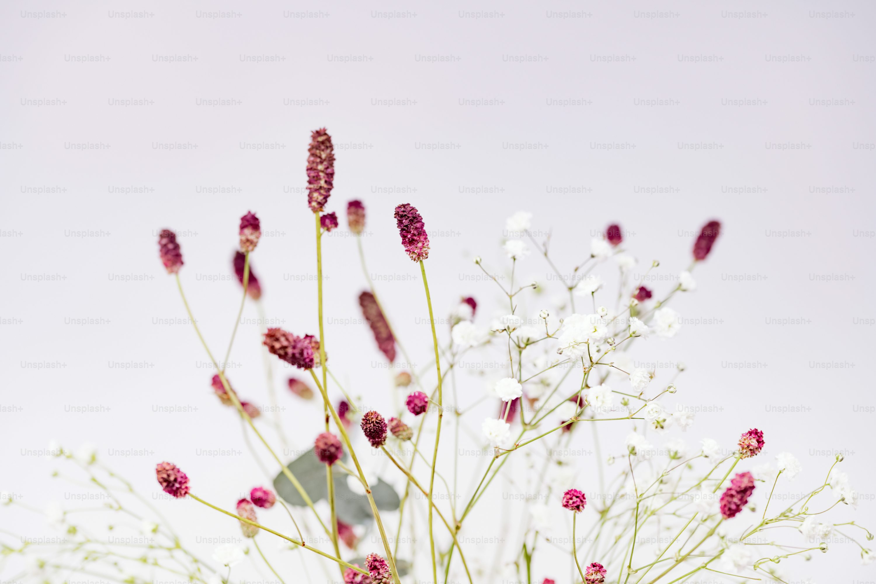 flores delicadas para decoração