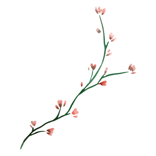 flores delicadas rosas