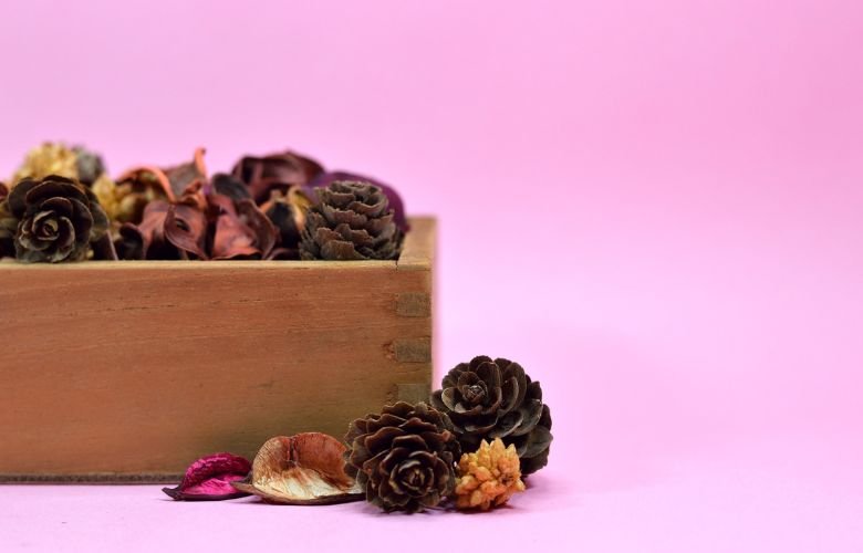 erros comuns ao desidratar flores em casa