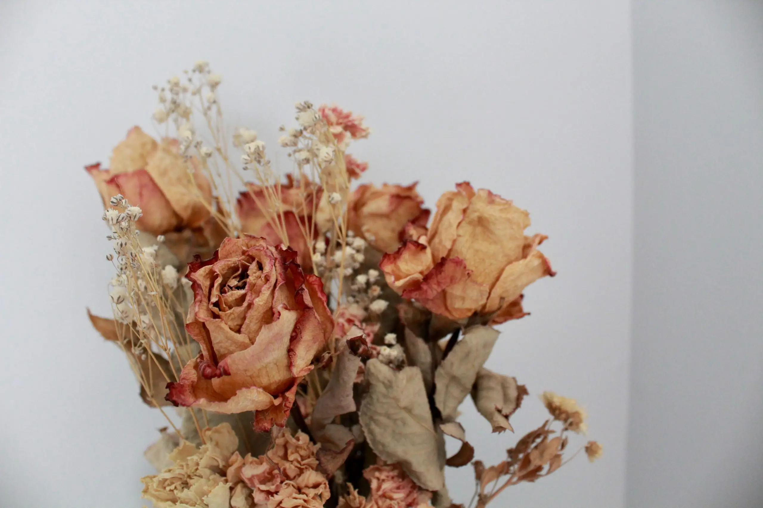 quanto custa um arranjo de flores desidratadas profissional