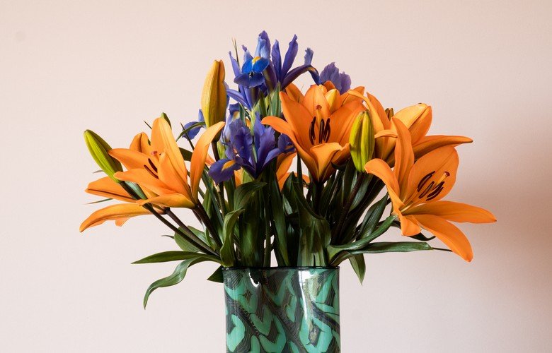 espécies de flores