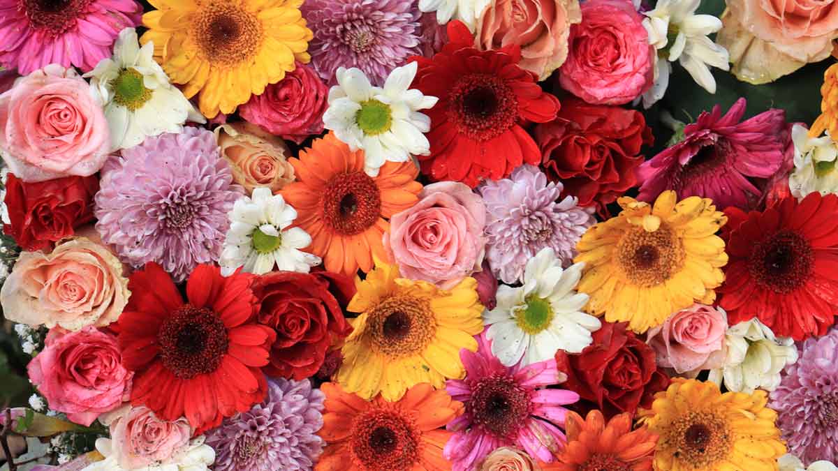 arranjo de flores
