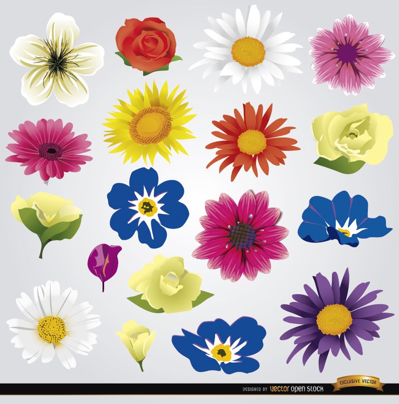 tipos de flores