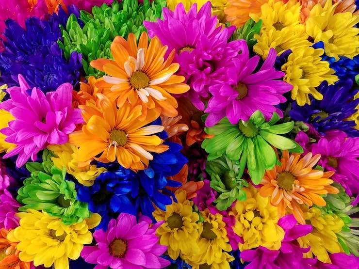 flores de jardim