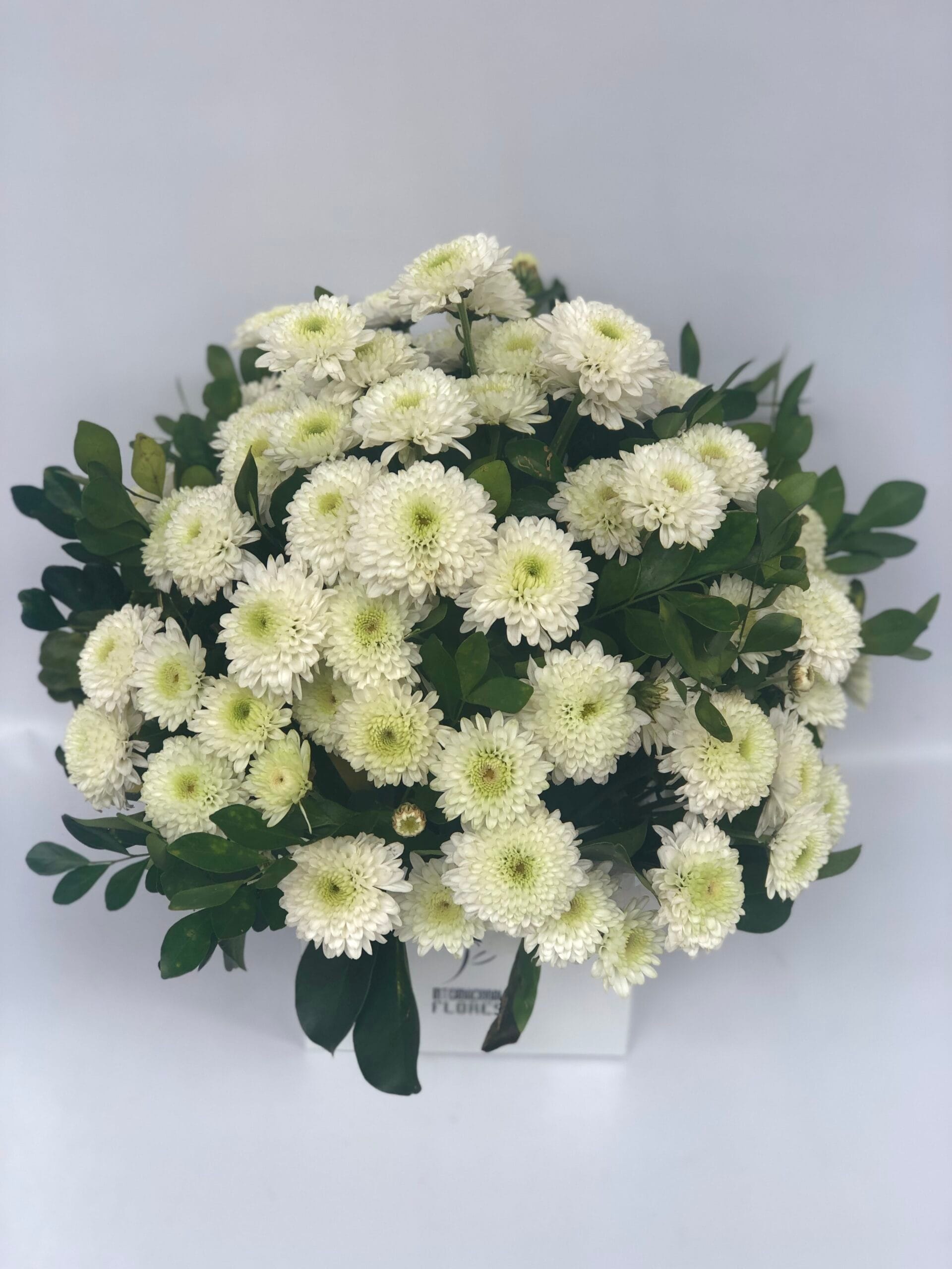 Margaridas