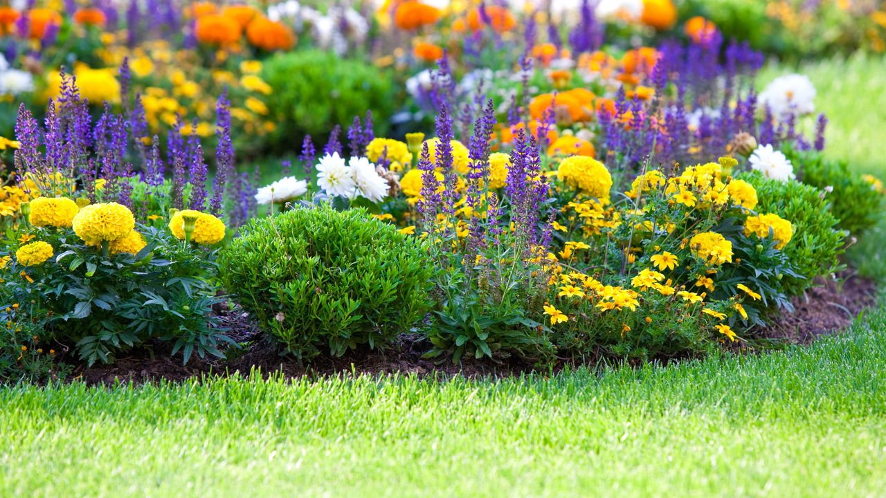 flores artificiais vs naturais