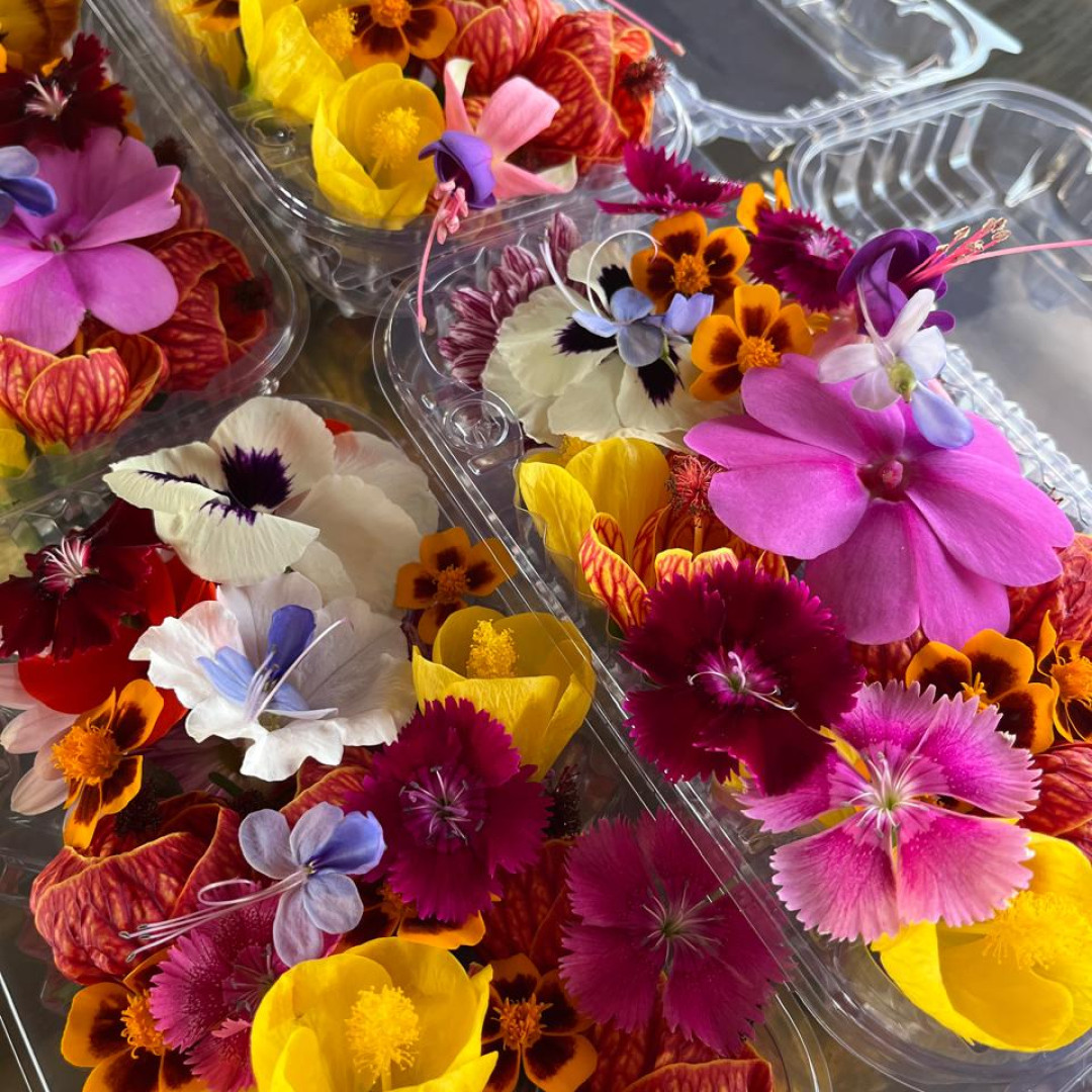 Flores significado em espanhol