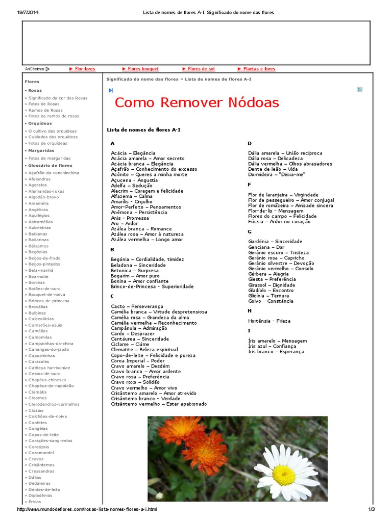 flores que desabrocham à noite