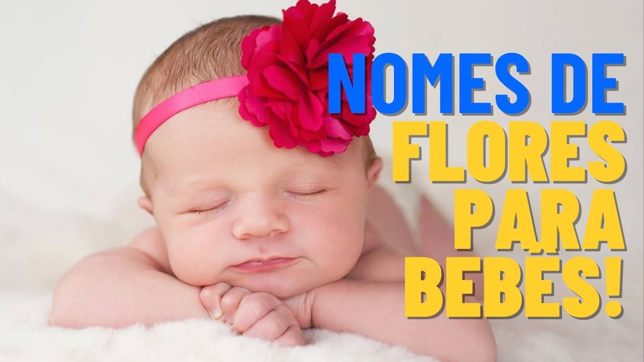 erros comuns ao cuidar de flores em vaso