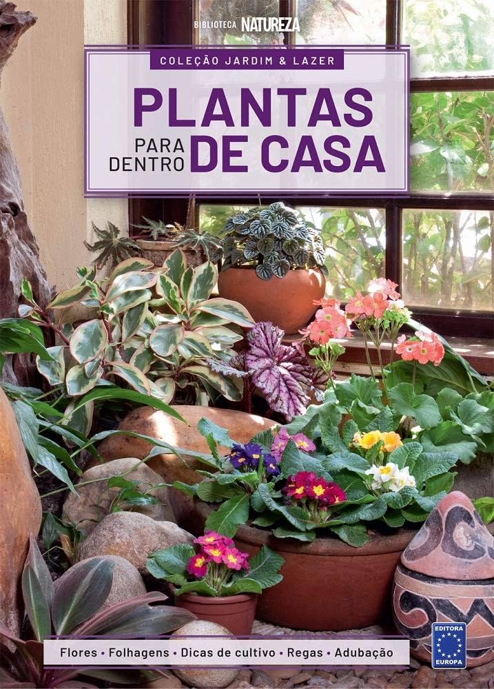 plantas de interior fáceis de cuidar