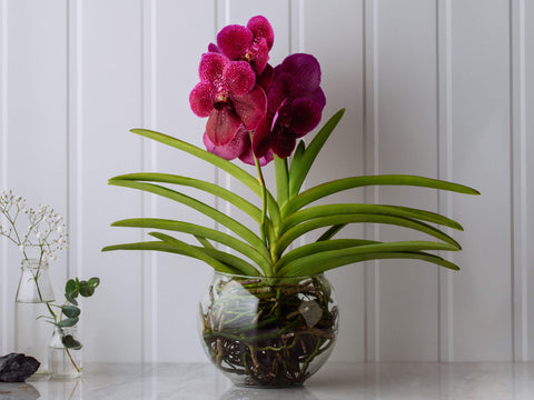 flores para decorar sala