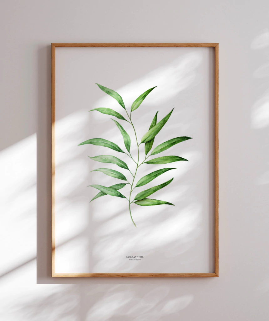 folha de eucalipto para decoração