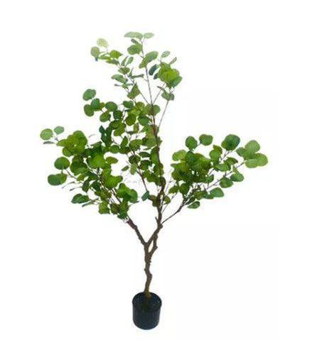 como evitar folhas de eucalipto murchas na decoração