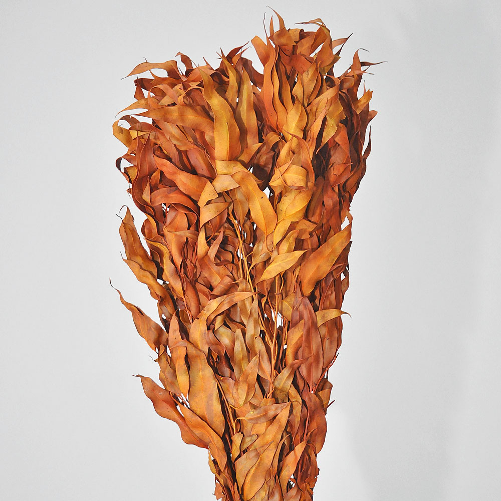 guirlanda de eucalipto para porta de entrada