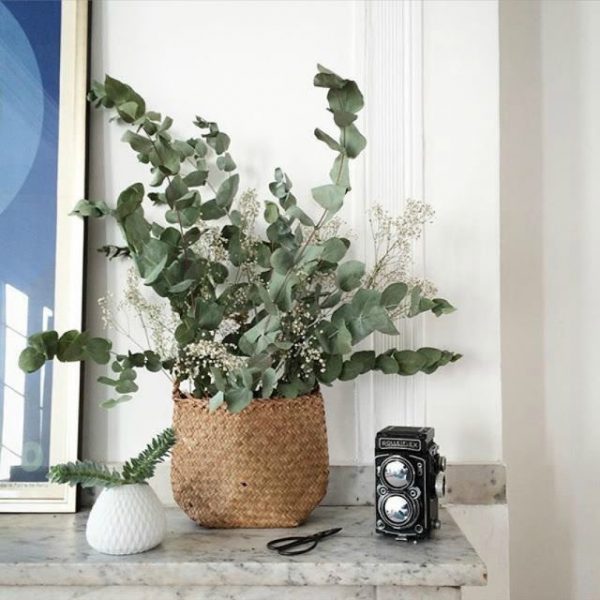 ideias criativas decoração com folhas de eucalipto