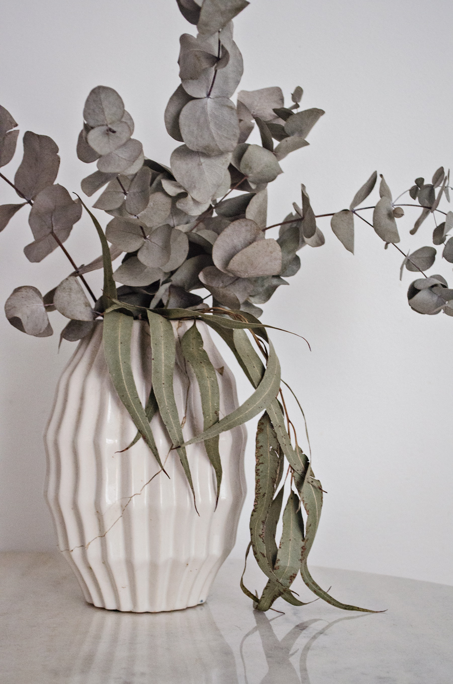 eucalipto natural ou artificial qual o melhor para decorar