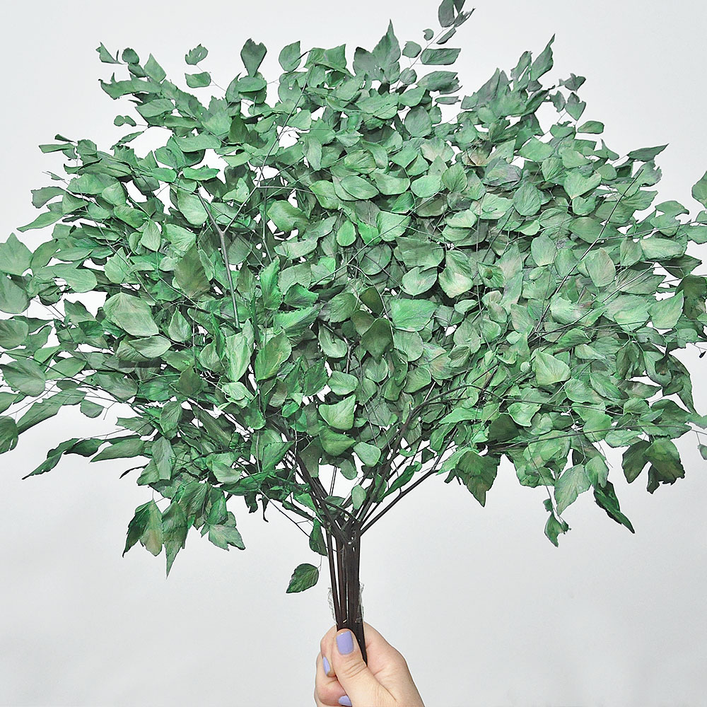 folhagem para decoração