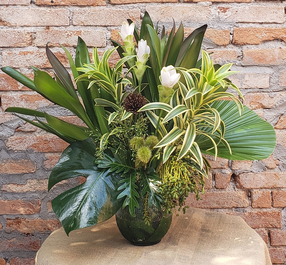 folhagem para decoração