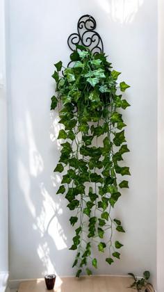 folhagem para decoração