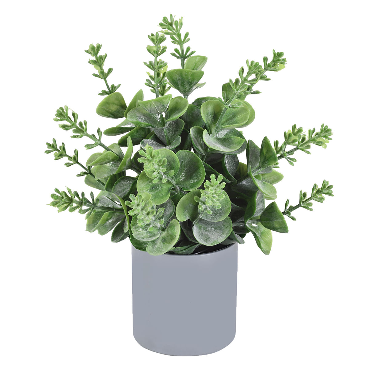 folhagem para decoração