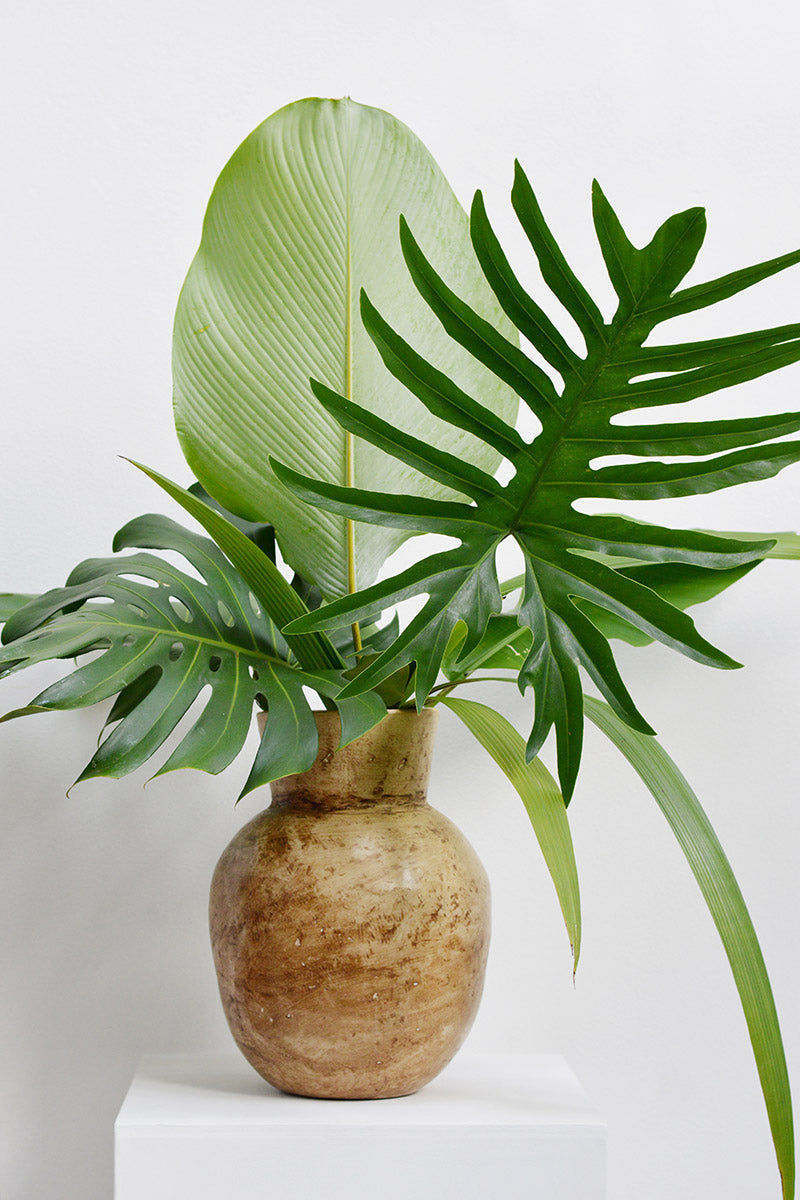 folhagem para decoração